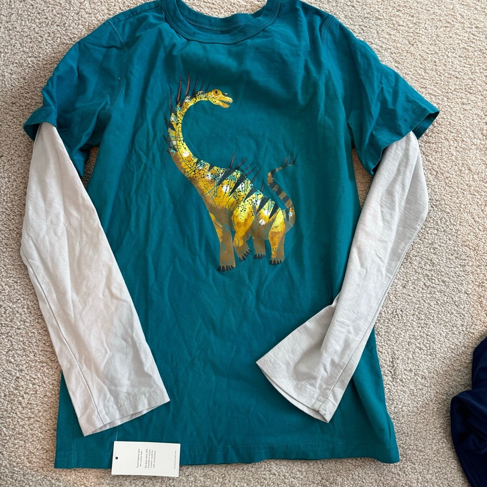 Tea Collection Dinosaur Long Sleeve Graphic Tee 16